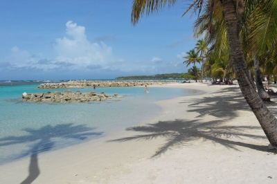 Strand auf Guadeloupe (Alexander Mirschel)  Copyright 
Información sobre la licencia en 'Verificación de las fuentes de la imagen'